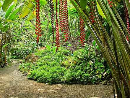 Adventures botanical gardens